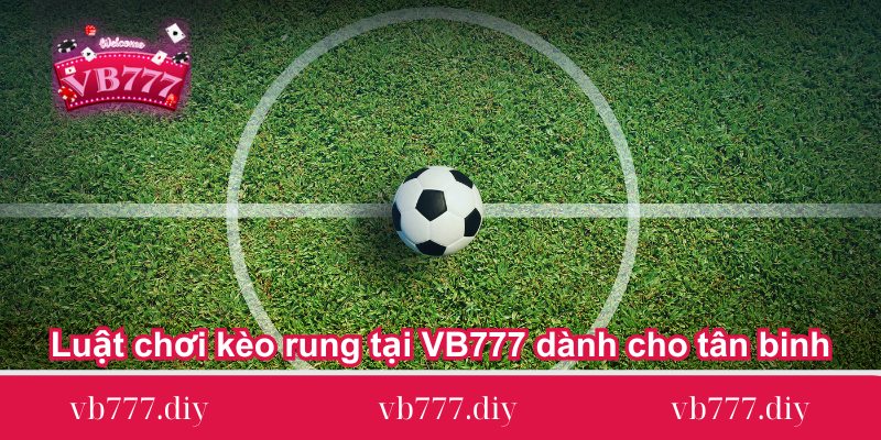 luat choi keo rung tai vb777 danh cho tan binh Luat-choi-keo-rung-tai-VB777-danh-cho-tan-binh