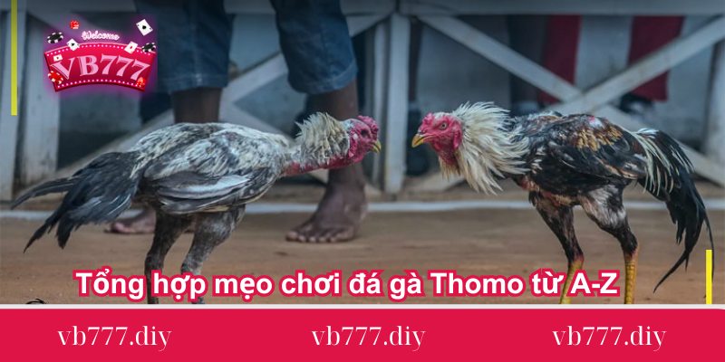 tong hop meo choi da ga thomo tu a z Tong-hop-meo-choi-da-ga-Thomo-tu-A-Z