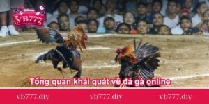 Tổng quan khái quát về đá gà online