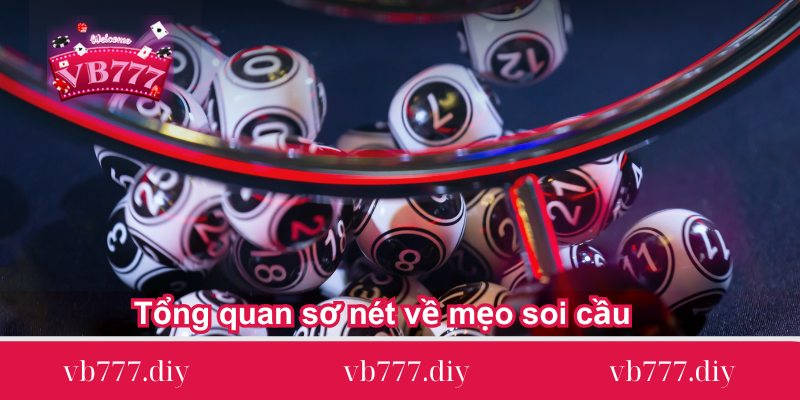 tong quan so net ve meo soi cau Tong-quan-so-net-ve-meo-soi-cau