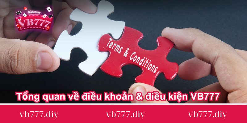 tong quan ve dieu khoan dieu kien vb777 tong-quan-ve-dieu-khoan-dieu-kien-vb777