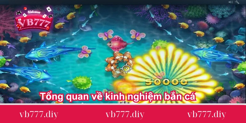 tong quan ve kinh nghiem ban ca Tong-quan-ve-kinh-nghiem-ban-ca